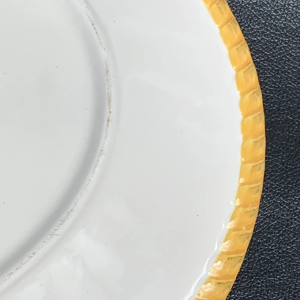 Pier 1 Oralia Earthenware Oval Serving Platter Yellow Rope Rim Floral Scroll